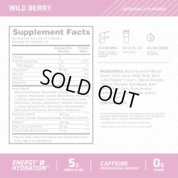 画像3: ワークアウトのためのアミノ酸パウダー！Optimum Nutrition オプティマム ニュートリション アミノ エナジー +エレクトロライト ワイルドベリー 684ｇ