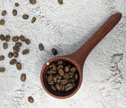 画像4: Starbucks スターバックス シーズンズ チェアー ミディアムロースト コーヒー豆 907g