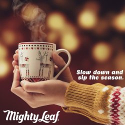 画像4: 高級紅茶、いろいろ試せるギフトボックス！Mighty Leaf マイティーリーフ 紅茶サンプラー 40個入