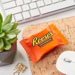 画像2: リーセス ピーナッツバターカップ  アメリカを代表するチョコレート！Reese's スナックサイズ ジャンボパック 510g