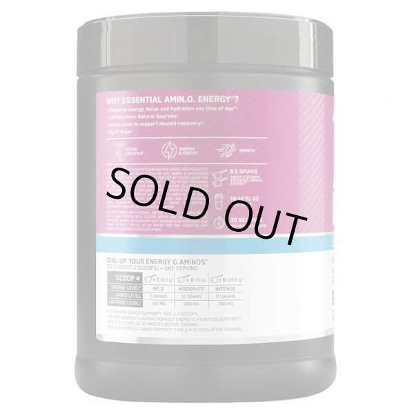 画像2: ワークアウトのためのアミノ酸パウダー！Optimum Nutrition オプティマム ニュートリション アミノ エナジー +エレクトロライト ワイルドベリー 684ｇ