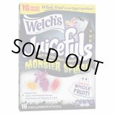 画像: ジュースが飛び出すグミトリート！Welch's ウェルチズ ジュースフル モンスター スプラッシュ フルーツスナック 16袋