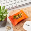 画像2: リーセス ピーナッツバターカップ  アメリカを代表するチョコレート！Reese's スナックサイズ ジャンボパック 510g